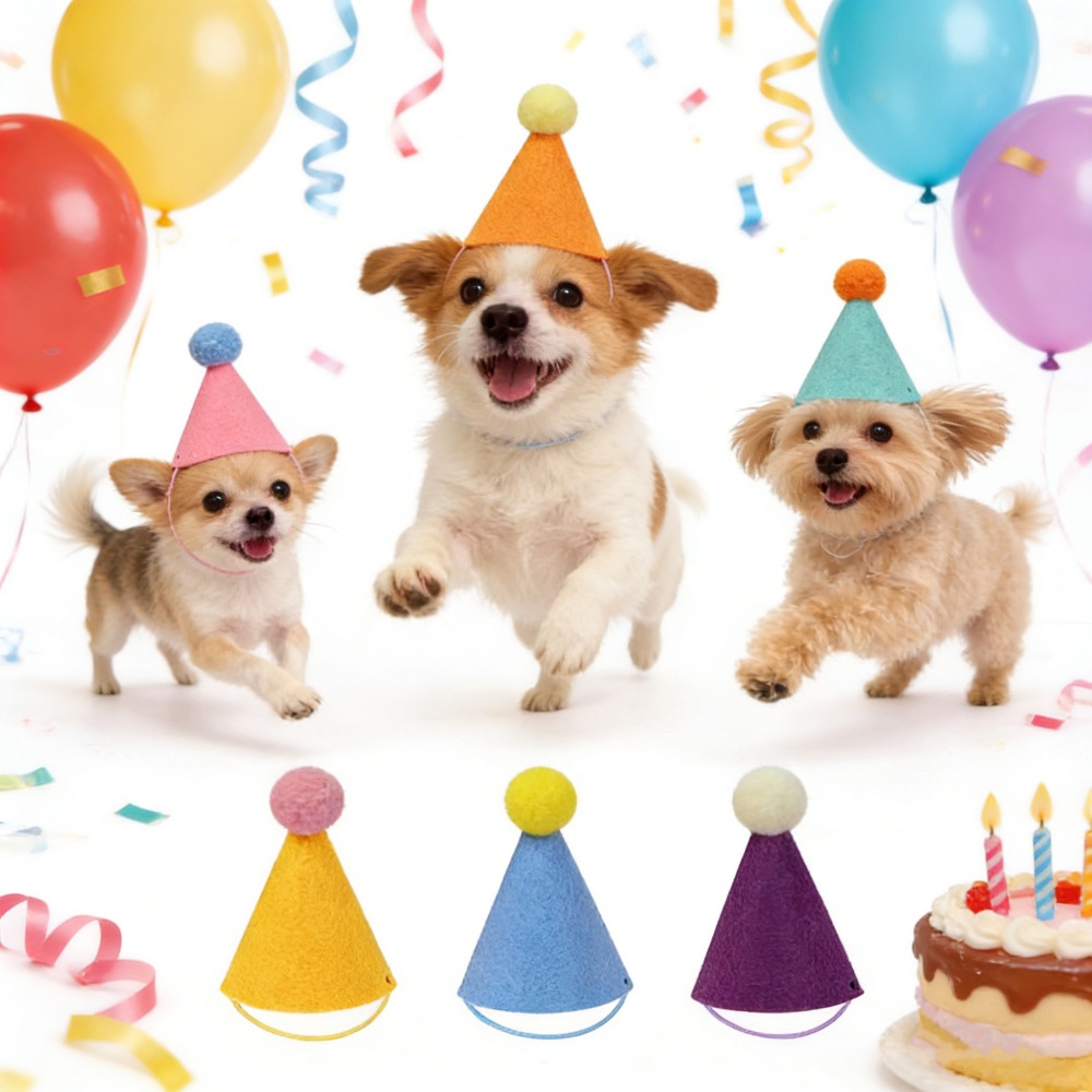 3/6 adet Pet parti şapkası ren - Party Hat Cone incelemesi ve fiyatı